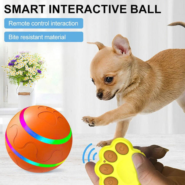 Interactive Dog Toys, Remote Control Dog Toy with LED Lights