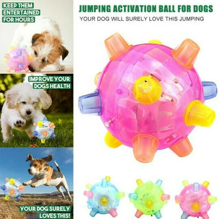 Dog Ball, Vibrating Dog Mental Stimulation Toy – image 7
