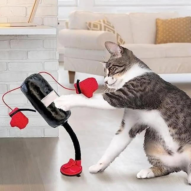 Catnip Toy for Cats, Interactive Cat Toy with Suction Cup, Spring Cat Toy with Boxing Gloves and Bells