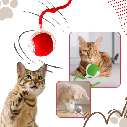 Cat Toy for Kittens, Motorized Cat Toy for Indoor Play – image 11
