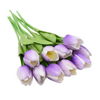 BlueViolet
