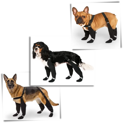Waterproof Dog Suspenders Boots, Full Leg Anti-Loss Dog Shoes with Non-Slip Sole and Reflective Straps for All Breeds