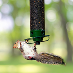 Tuzwa Squirrel-Proof Bird Feeder – Durable All-Weather Outdoor Wild Bird Feeder with Easy-Clean Tray