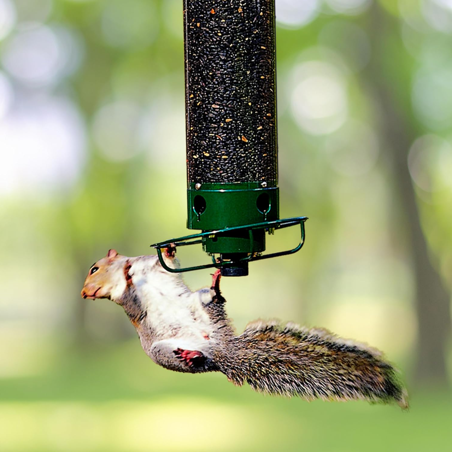 Tuzwa Squirrel-Proof Bird Feeder – Durable All-Weather Outdoor Wild Bird Feeder with Easy-Clean Tray
