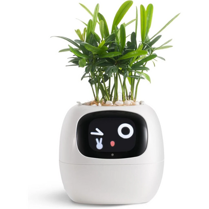 Planters for Indoor Plants, Self Watering Planter with App Control – image 5