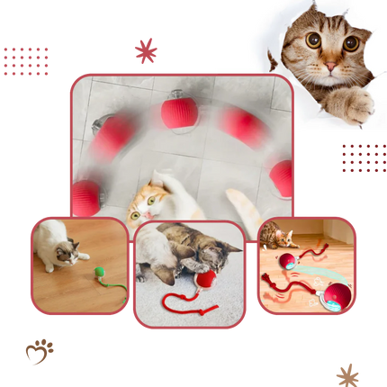 Cat Toy for Kittens, Self Rolling Cat Ball Toy with Silicone Shell – image 12