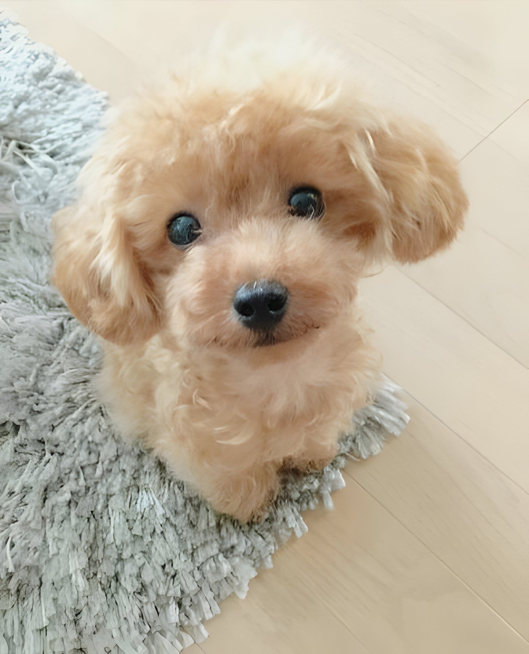 Tuzwa Lifelike Plush Puppy Toy – 14" Weighted Stuffed Dog with Soft Synthetic Fur, Sculpted Details & Polyester Fiber Filling