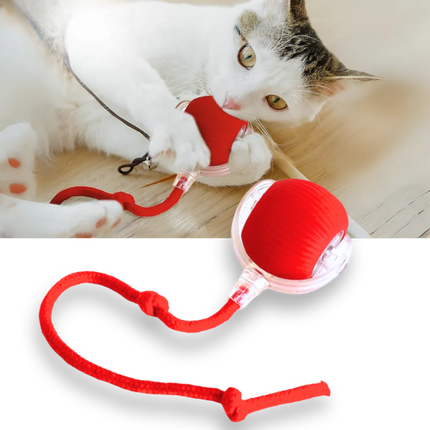 Cat Toy for Kittens, Motorized Cat Toy for Indoor Play – image 13