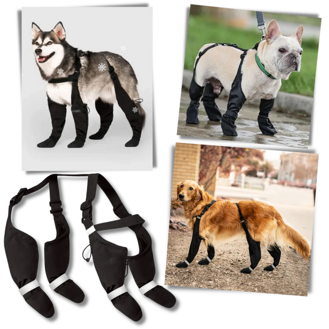 Dog Shoes, Waterproof Dog Boots with Suspenders