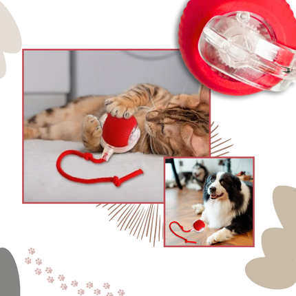 Cat Toy for Kittens, Motorized Cat Toy for Indoor Play – image 9