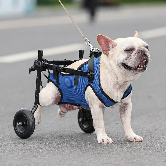 Dog Wheelchair for Back Legs, Cat Wheelchair, Dog Hind Legs Support for Injured and Weak Pets, Dog Mobility Aid
