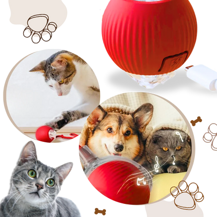 Cat Toy for Kittens, Self Rolling Cat Ball Toy with Silicone Shell – image 8