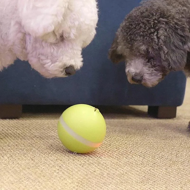 Robotic Dog Toy, Cat Toy Ball with Snack Dispenser