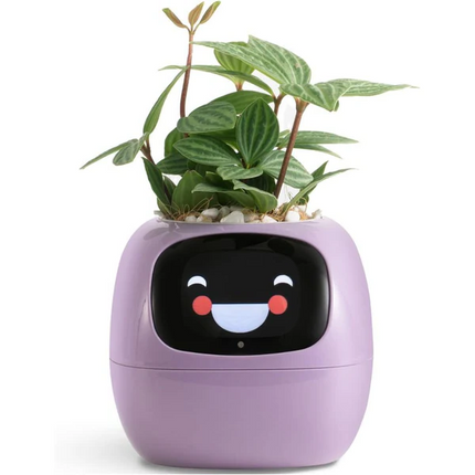 Planters for Indoor Plants, Smart Plant Pot and Flower Pots – image 7