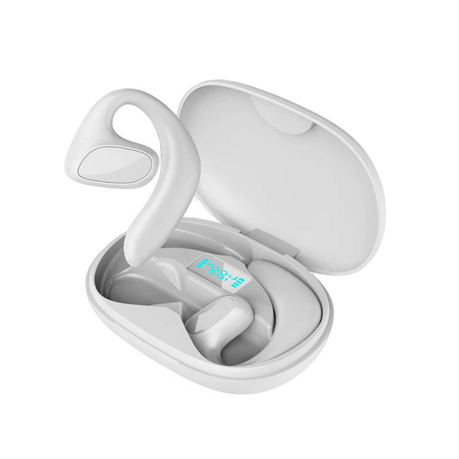 Wireless Earbuds with Translation, Language Translator with Charging Case