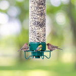 Tuzwa Squirrel-Proof Bird Feeder – Durable All-Weather Outdoor Wild Bird Feeder with Easy-Clean Tray
