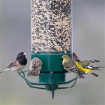 Tuzwa Squirrel-Proof Bird Feeder – Durable All-Weather Outdoor Wild Bird Feeder with Easy-Clean Tray