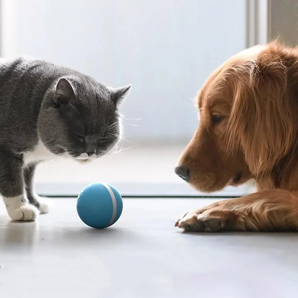 Cat Toy Ball with Snack Dispenser, Robotic Dog Toy – image 4