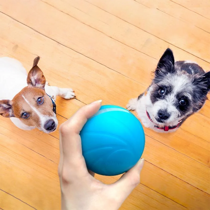 Automated Cat Toy for Indoor Cats and Dogs, Robotic Dog Toy – image 5