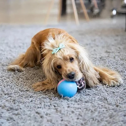Robotic Dog Toy – image 6