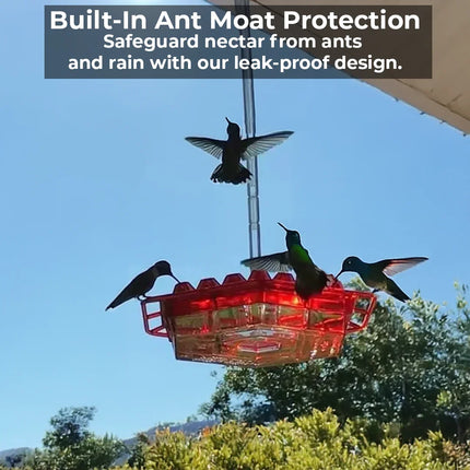 Ant Proof Hummingbird Feeder with 30 Bee Resistant Ports, Hanging Bird Feeder – image 5