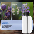 Real Me Oil
