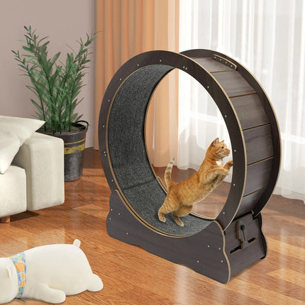 Cat Wheel for Indoor Cats, Cat Exercise Wheel with Cushioned Track, Quiet Cat Running Wheel with Ball Bearings