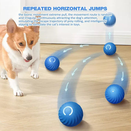 Automatic Rolling Ball, Pet Toy Ball for Active Play