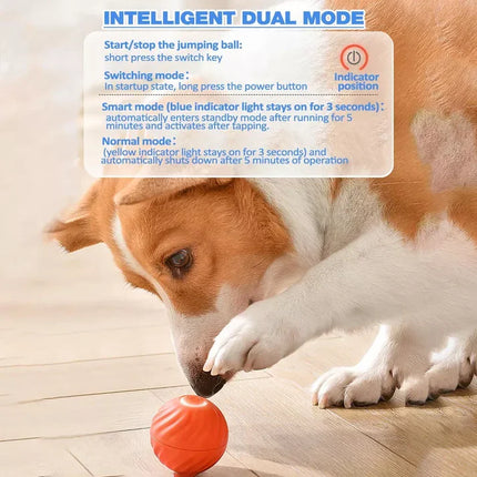 Pet Toy Ball for Active Play – image 4