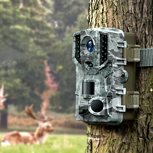 Trail Camera for Hunting, 1080P 24MP Game Camera with Night Vision, Waterproof Deer Camera for Wildlife, IP65 Outdoor