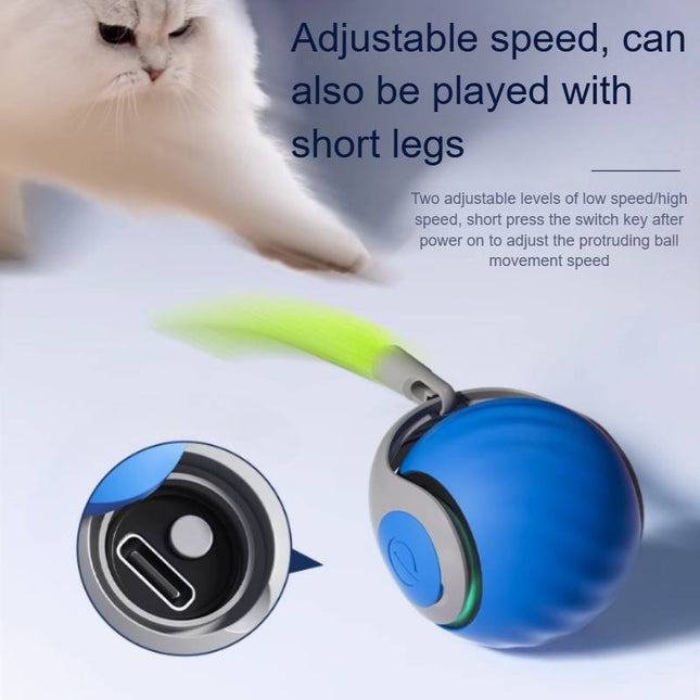 Interactive Cat Toys for Indoor Cats, Rolling Cat Ball with Feather
