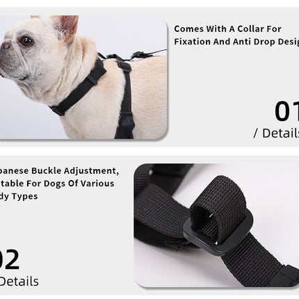 Dog Shoes, Dog Booties for Hot Pavement and Snow – image 7