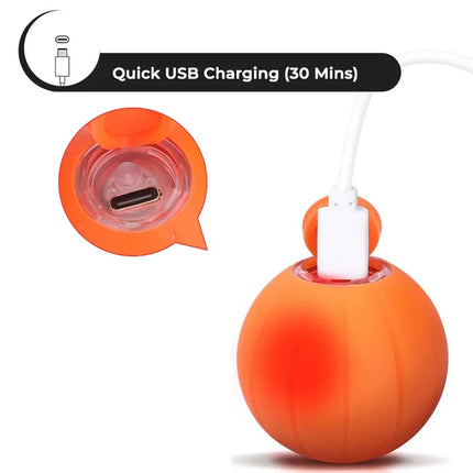 Interactive Cat Toy, Rechargeable Interactive Pet Toy with 3 Play Modes – image 5